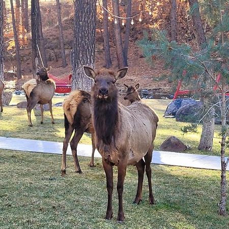 Sierra Blanca Cabins Hotel Ruidoso Bagian luar foto